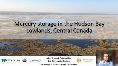 Mercury Storage in the Continuous and Discontinuous Permafrost Zones of the Hudson Bay Lowlands